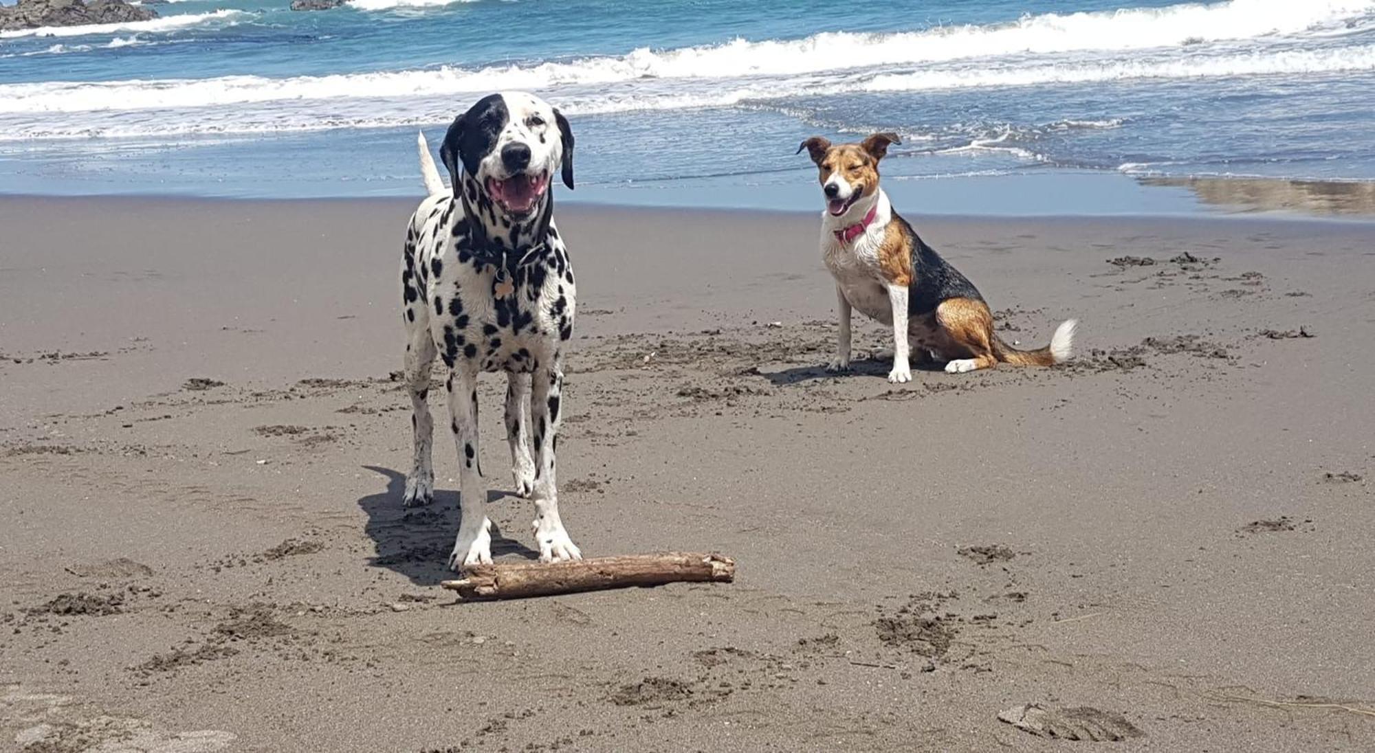 Port Waikato Holiday Park Εξωτερικό φωτογραφία